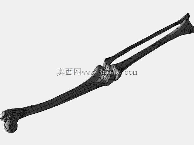 �������ѧV4-���ԣ��ձ�������ѧ��BodyParts3D��Դ��