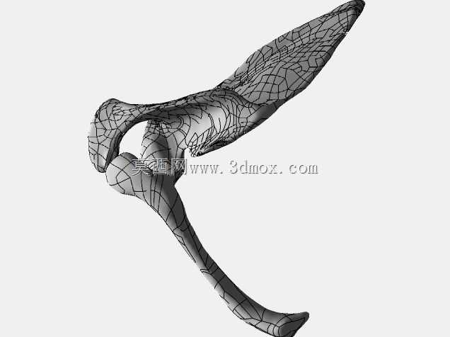 �������ѧV4-���ԣ��ձ�������ѧ��BodyParts3D��Դ��
