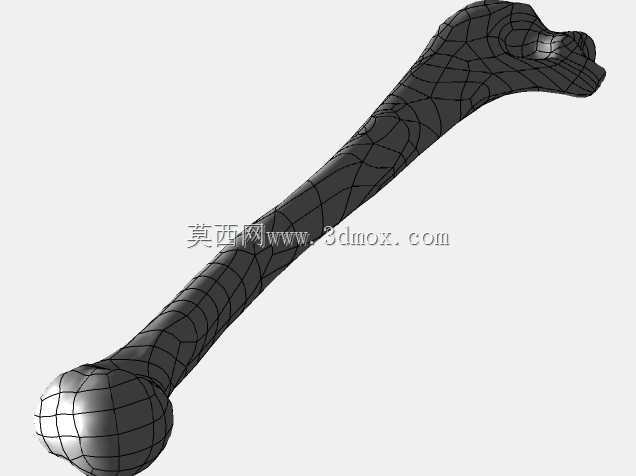 �ֱ�-���ԣ��ձ�������ѧ��BodyParts3D��Դ��
