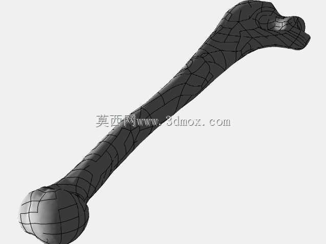 �ֱ�-���ԣ��ձ�������ѧ��BodyParts3D��Դ��