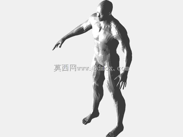 人体模型