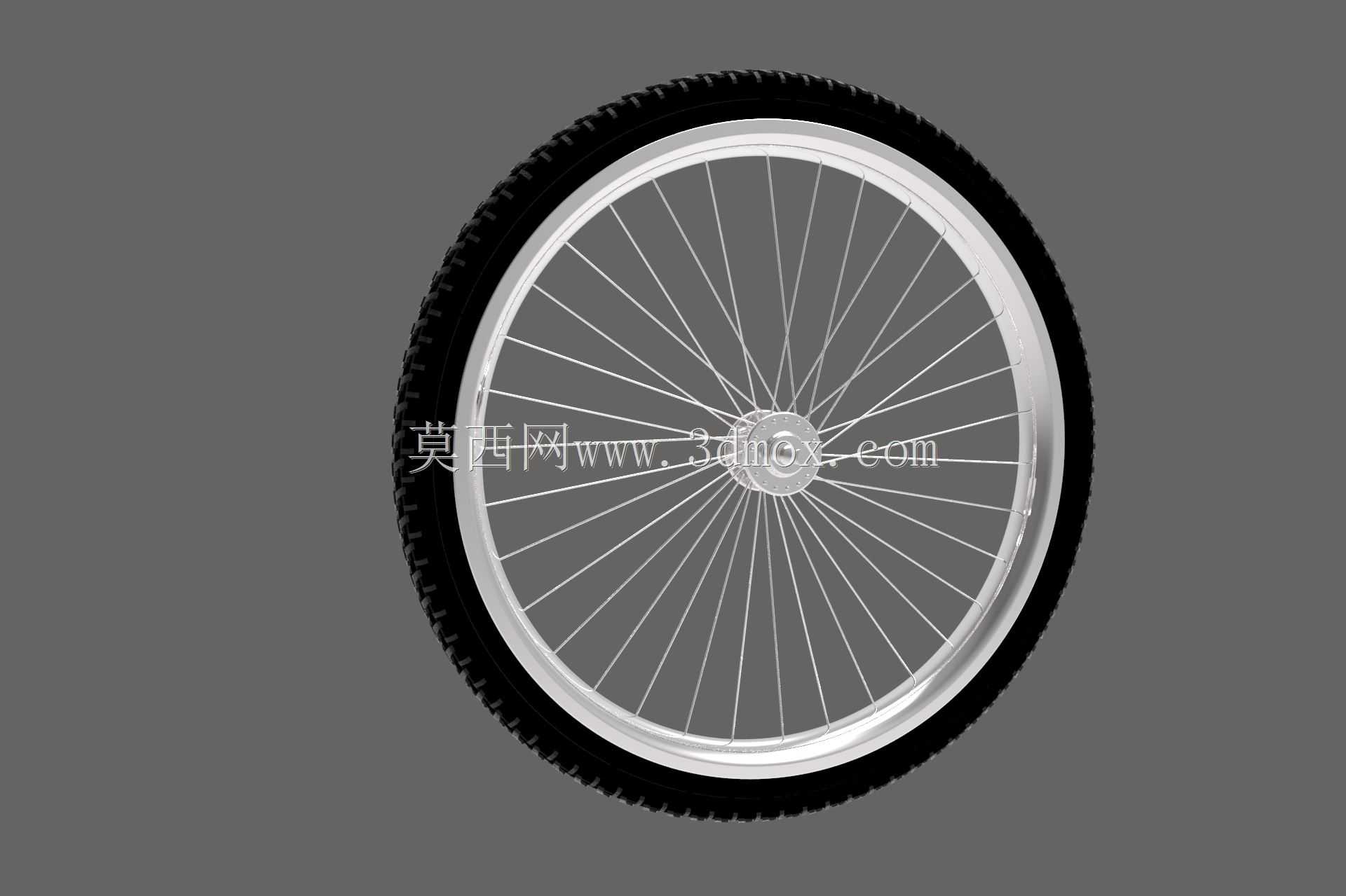 自行车车轮