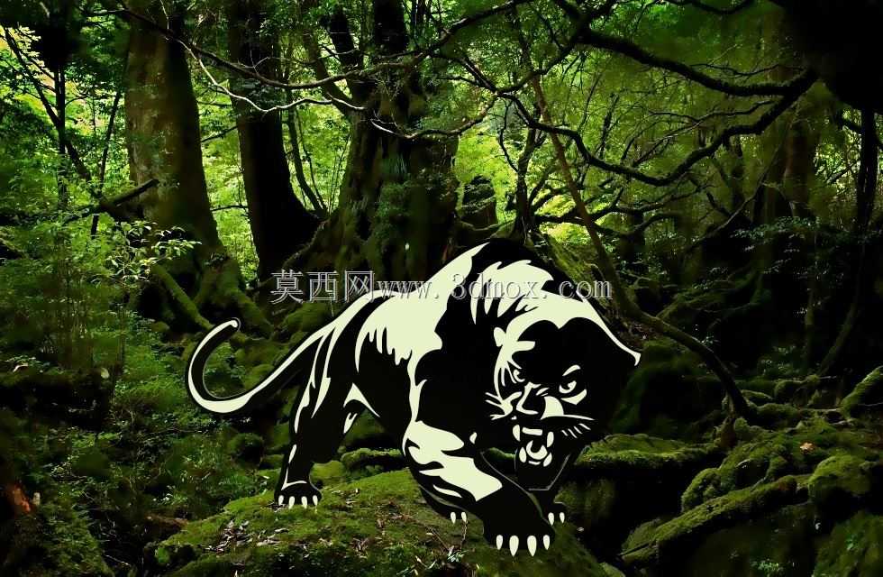 黑豹