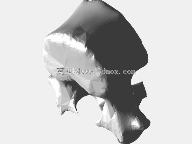 CATɨ��׵��| TRINOTA