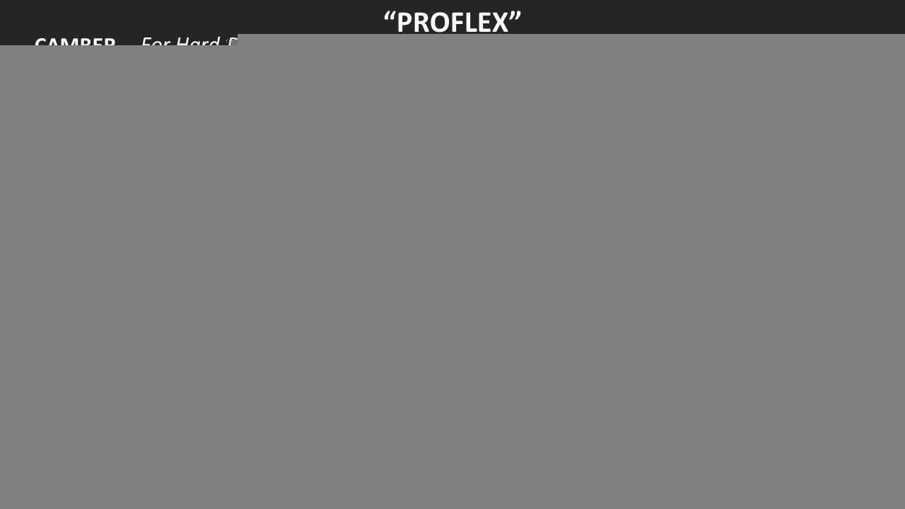 PROFLEX��˾