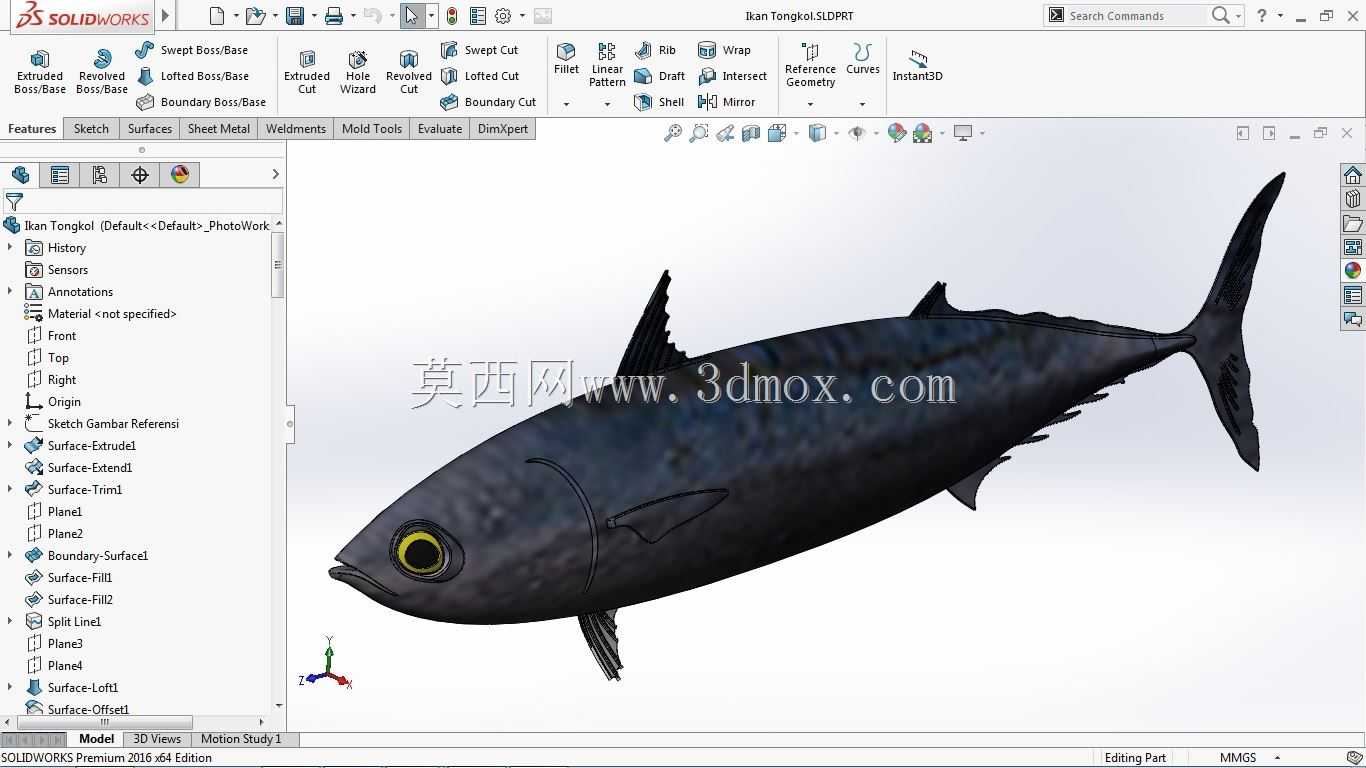 Ikan Tongkol(鲭鱼金枪鱼)