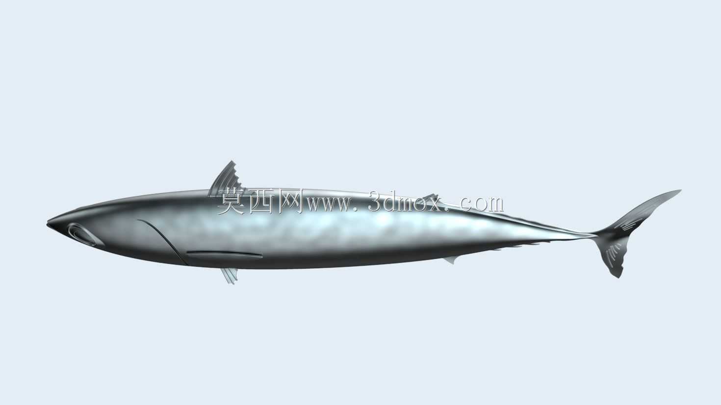 Ikan Tongkol(鲭鱼金枪鱼)