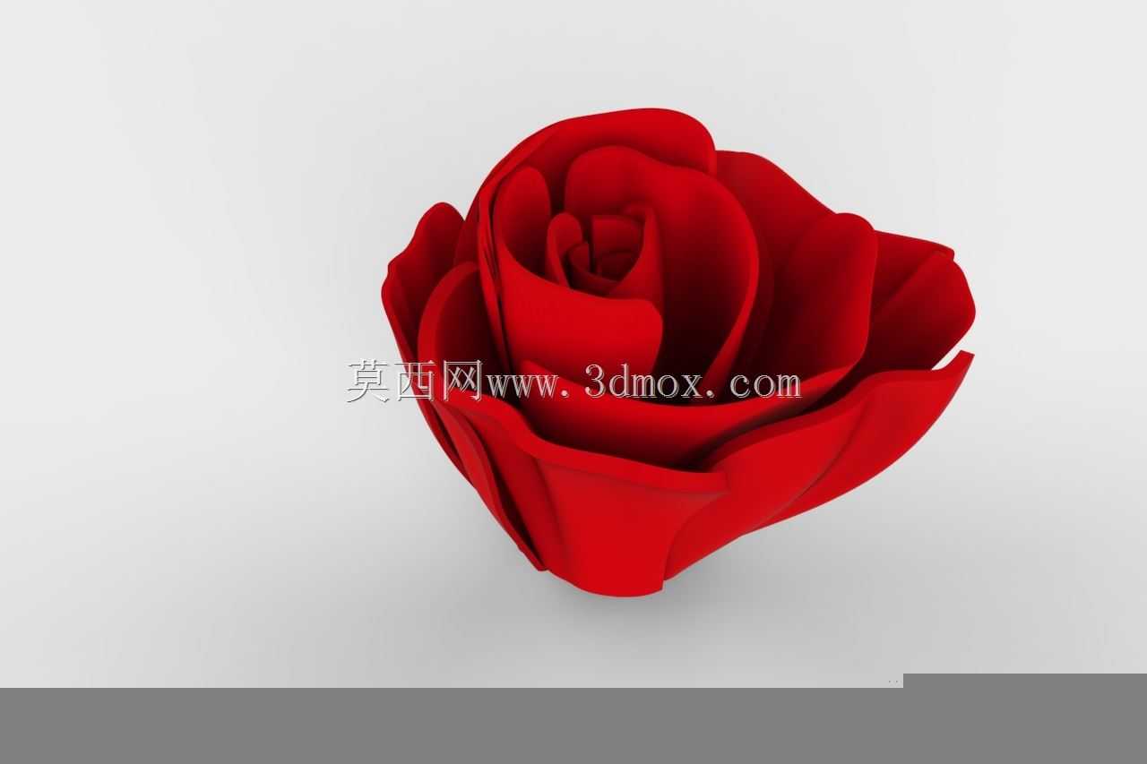 玫瑰‘花’