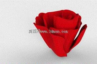 玫瑰‘花’