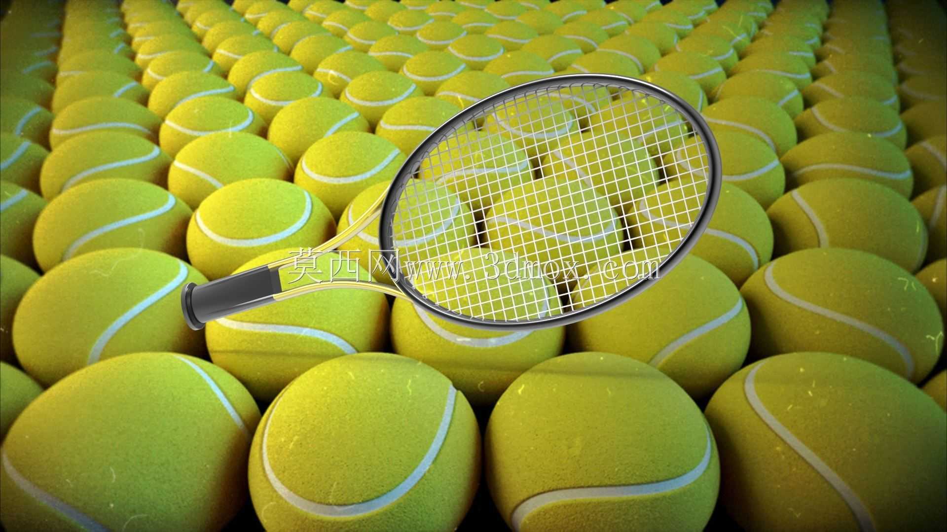������-Tenis Raketi