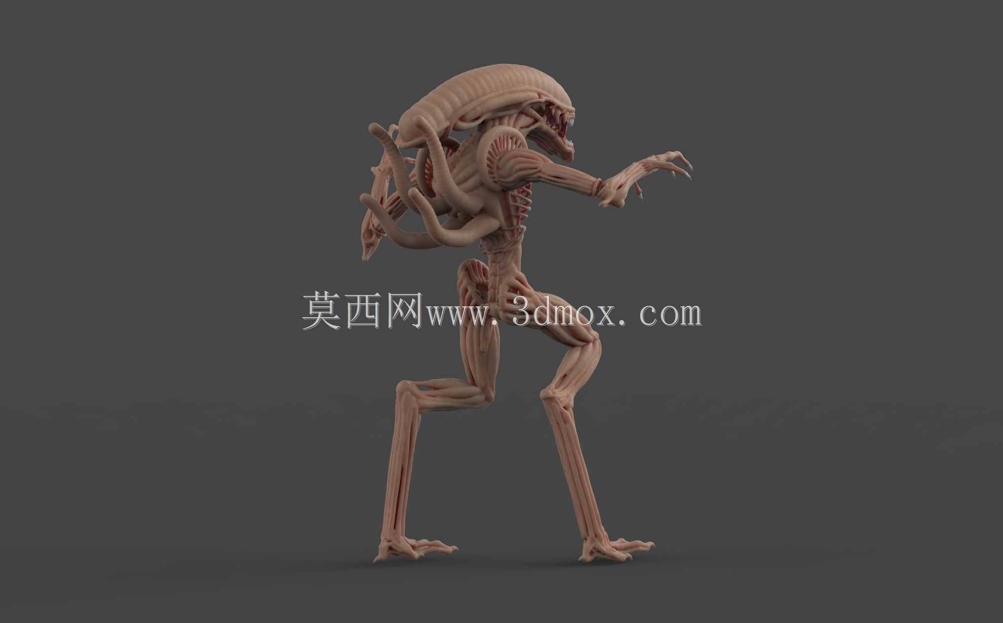 �����ˣ�hr giger��