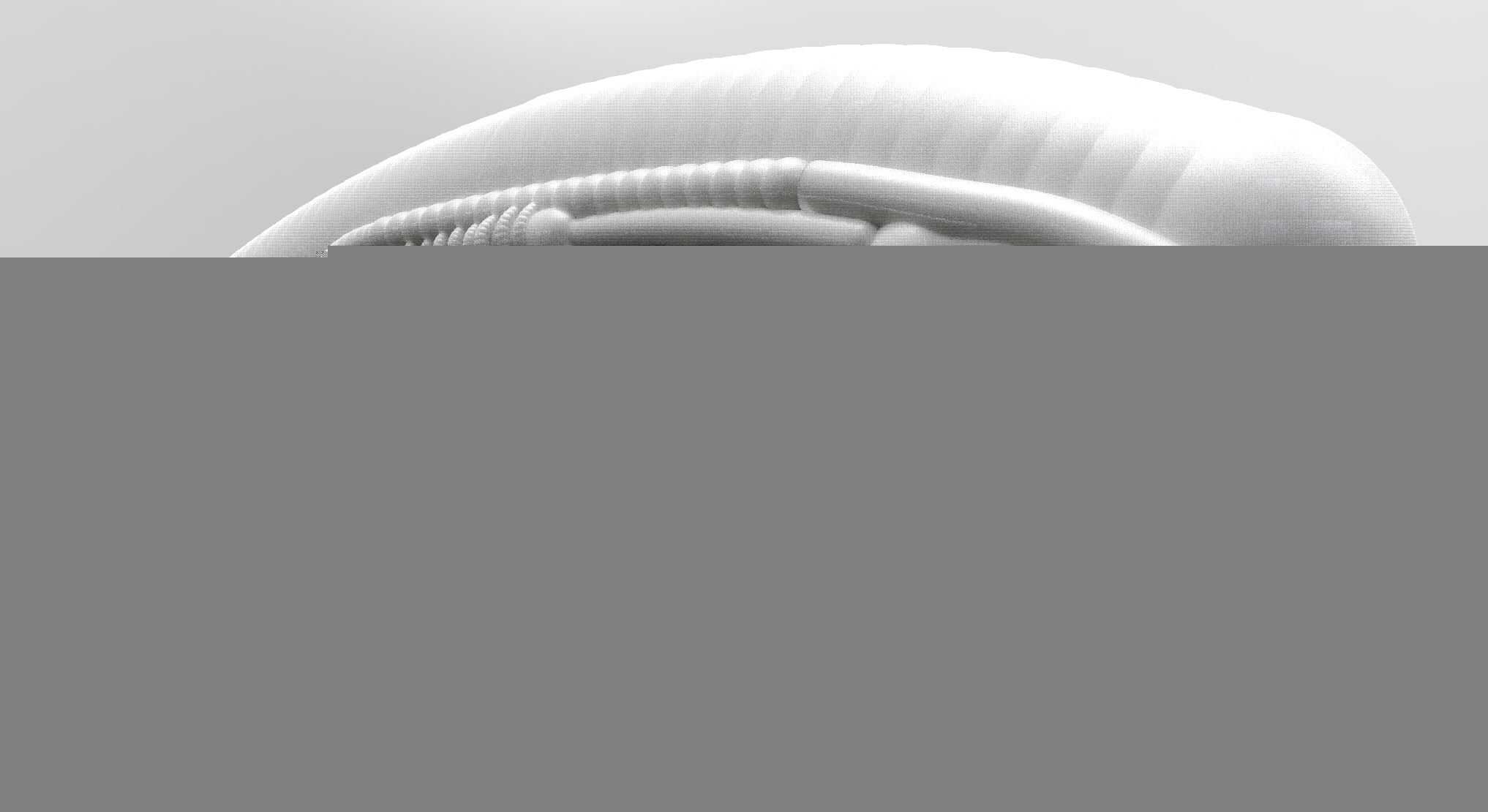 外星机头(HR Giger)在制品