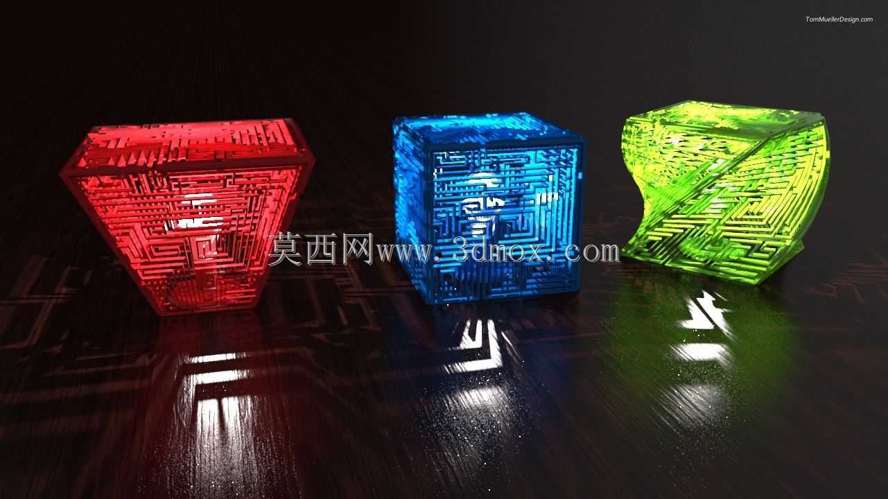 Amazon3D汤米