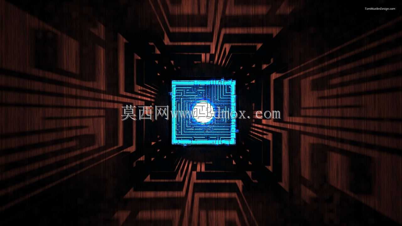 Amazon3D汤米