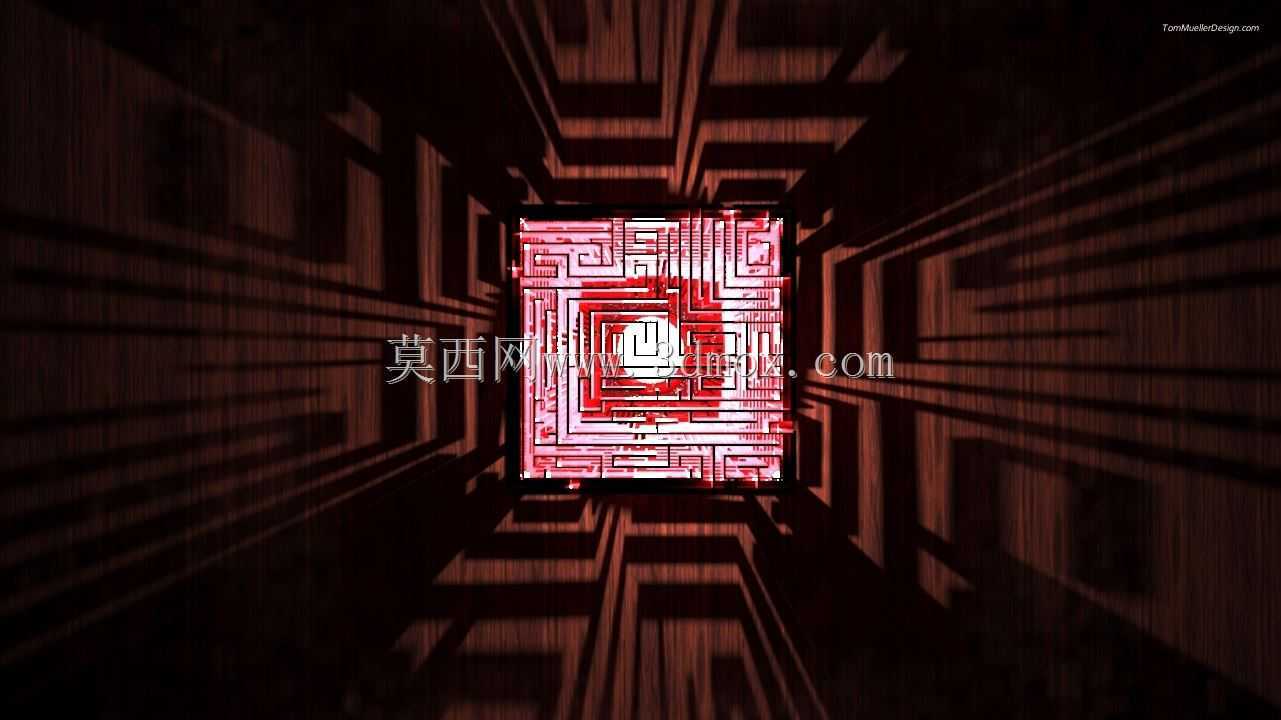 Amazon3D汤米