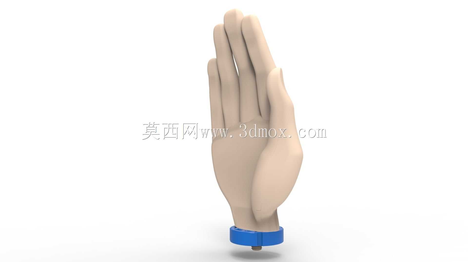 游泳