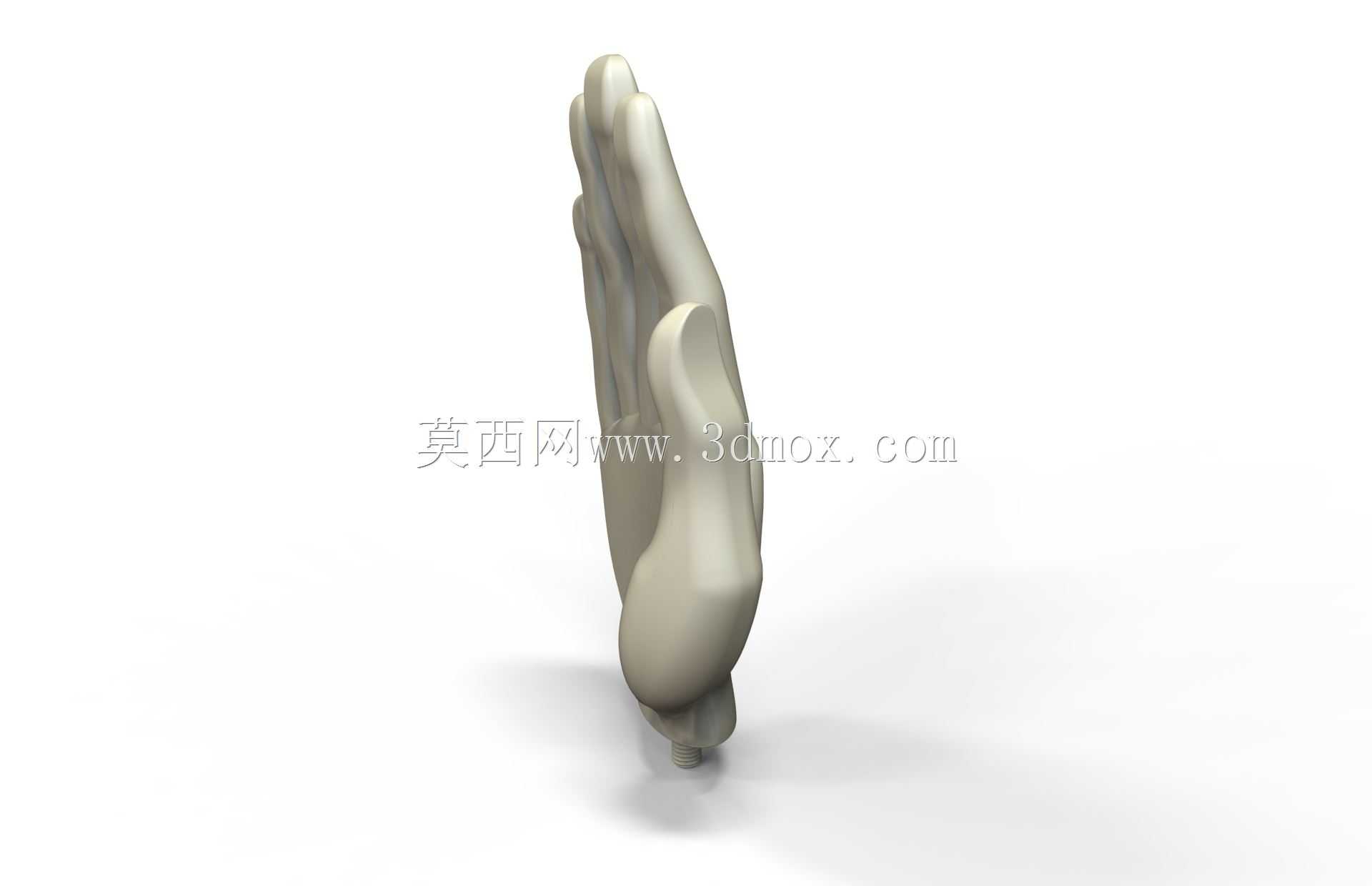 游泳