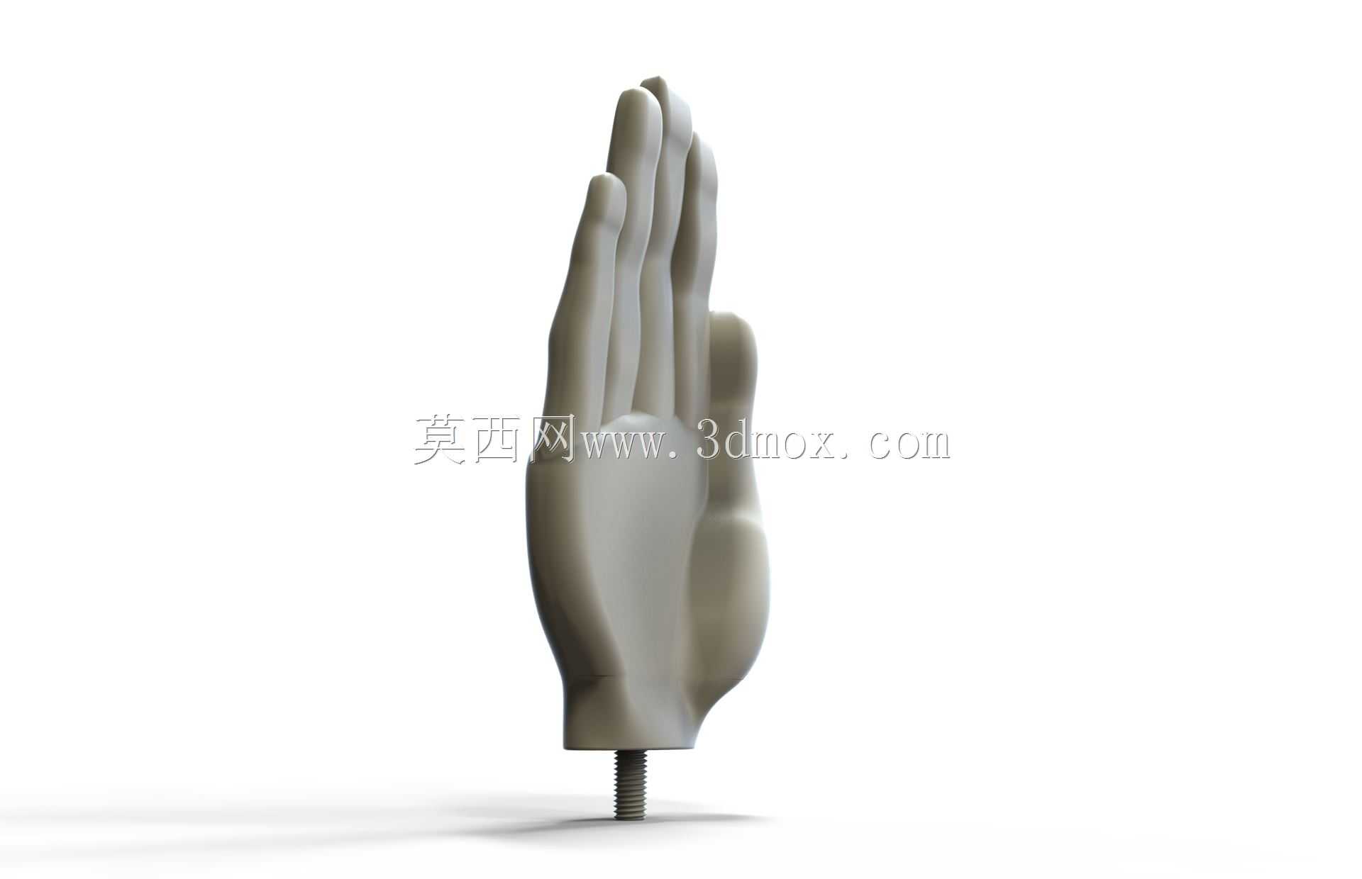 游泳