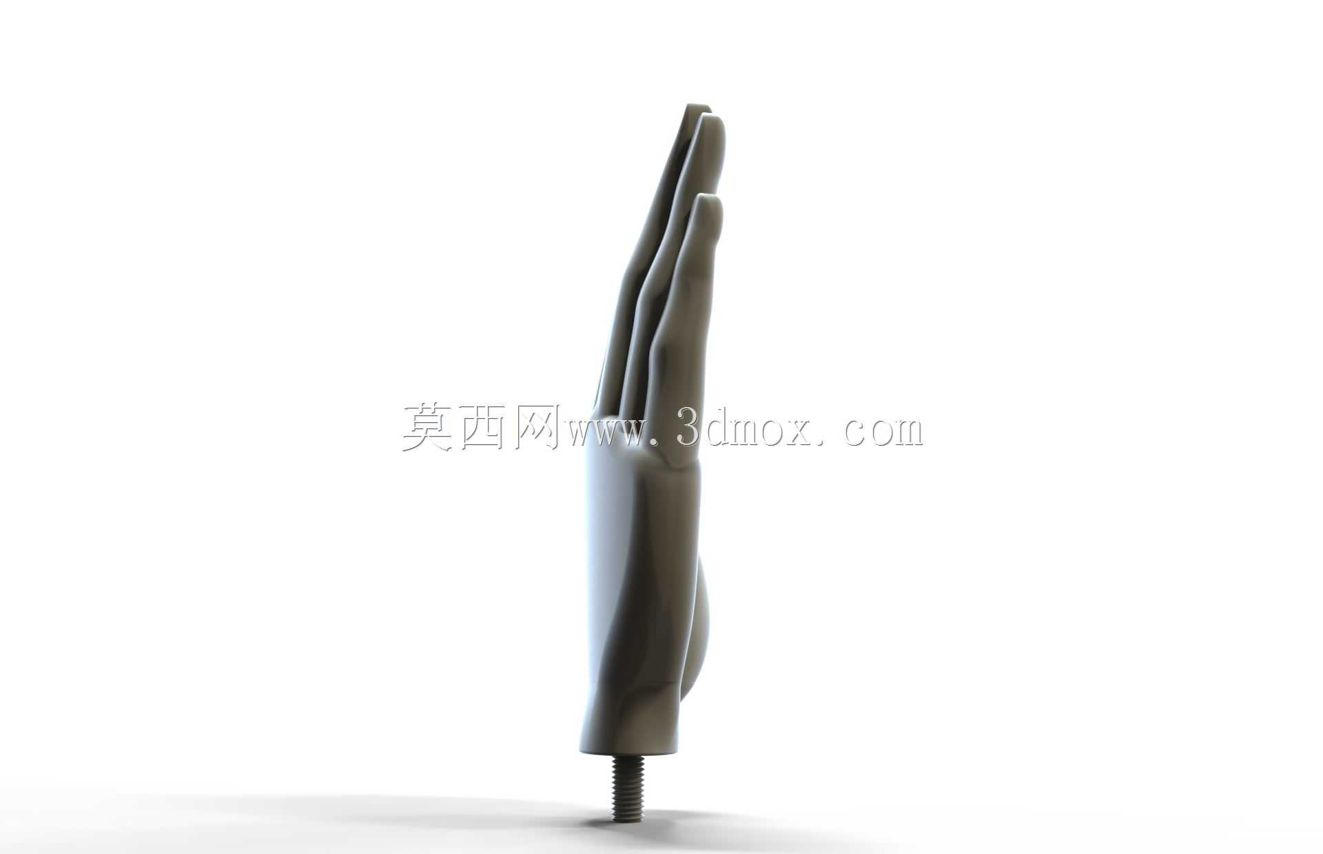 游泳