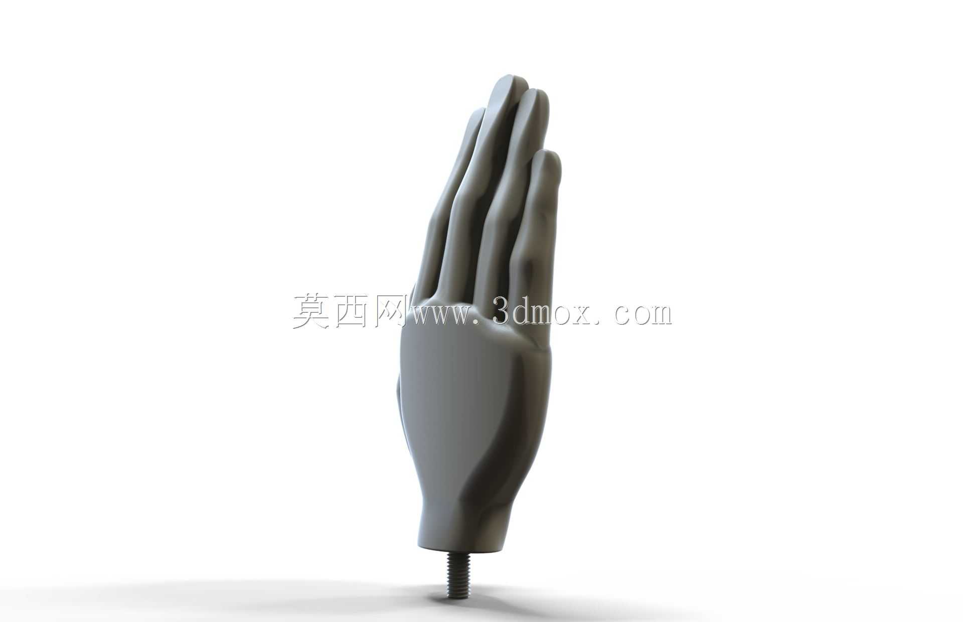 游泳