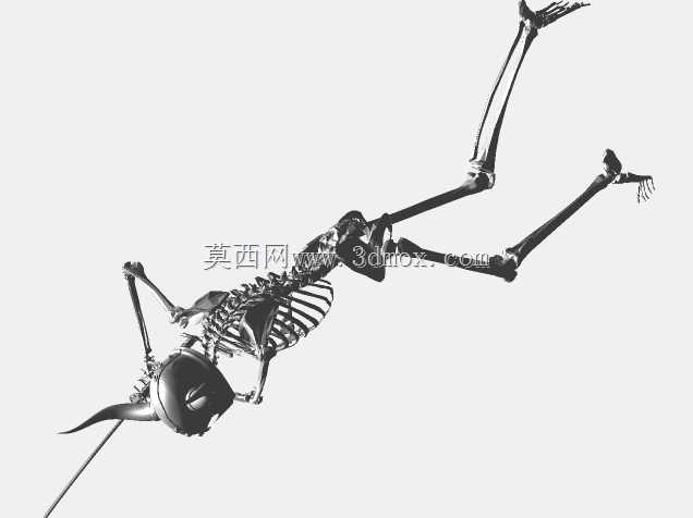 �Ǽ�