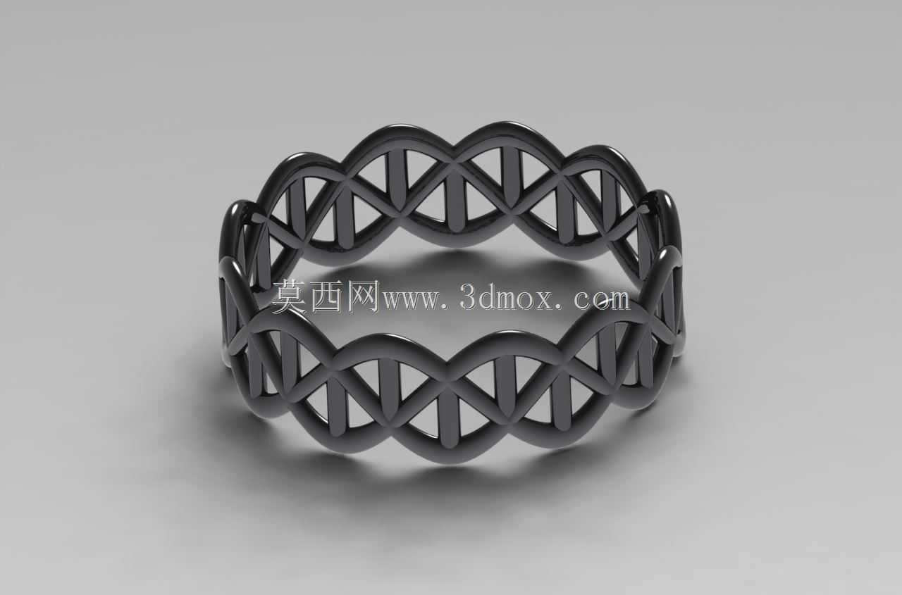 DNA����ָ2