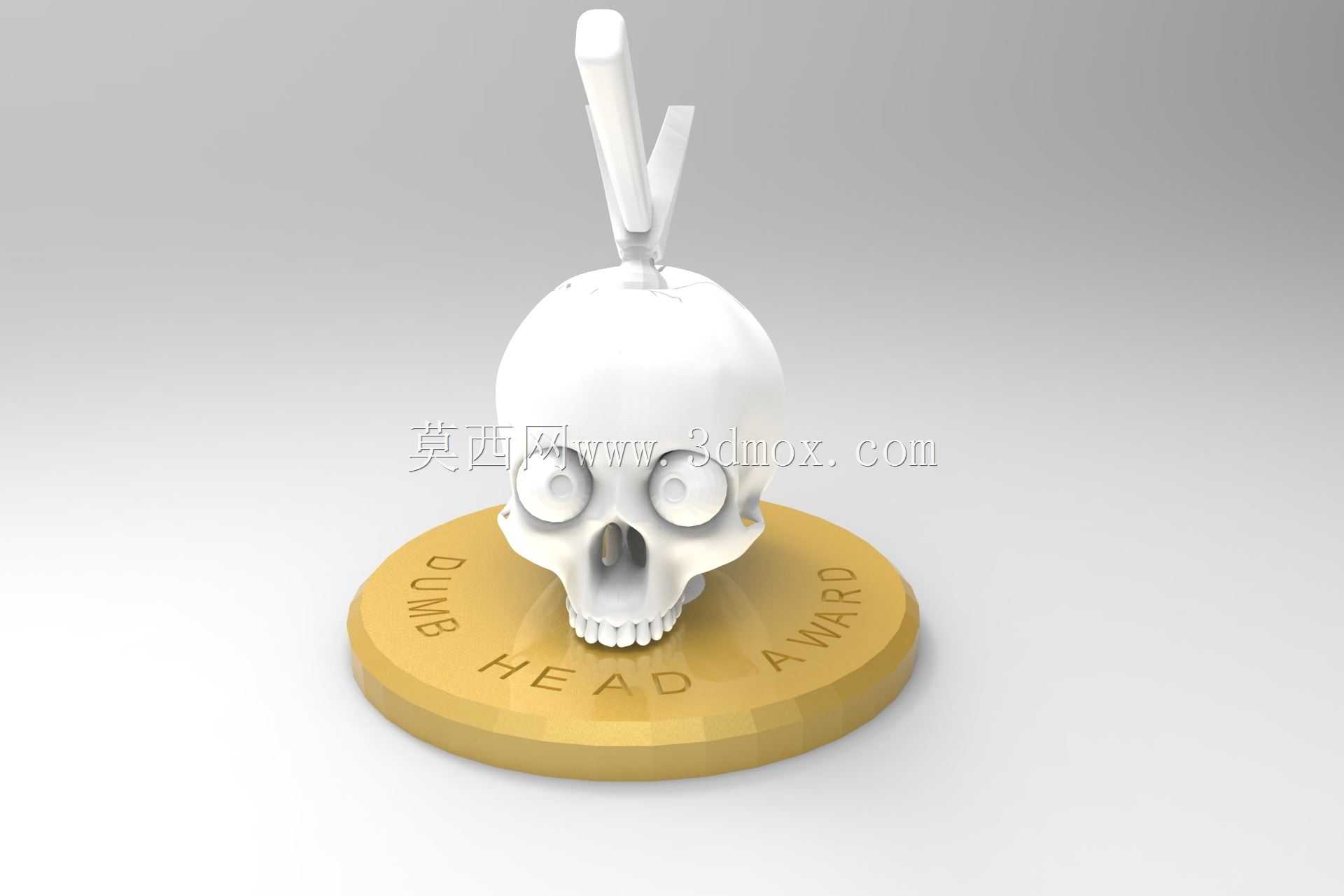 傻瓜奖