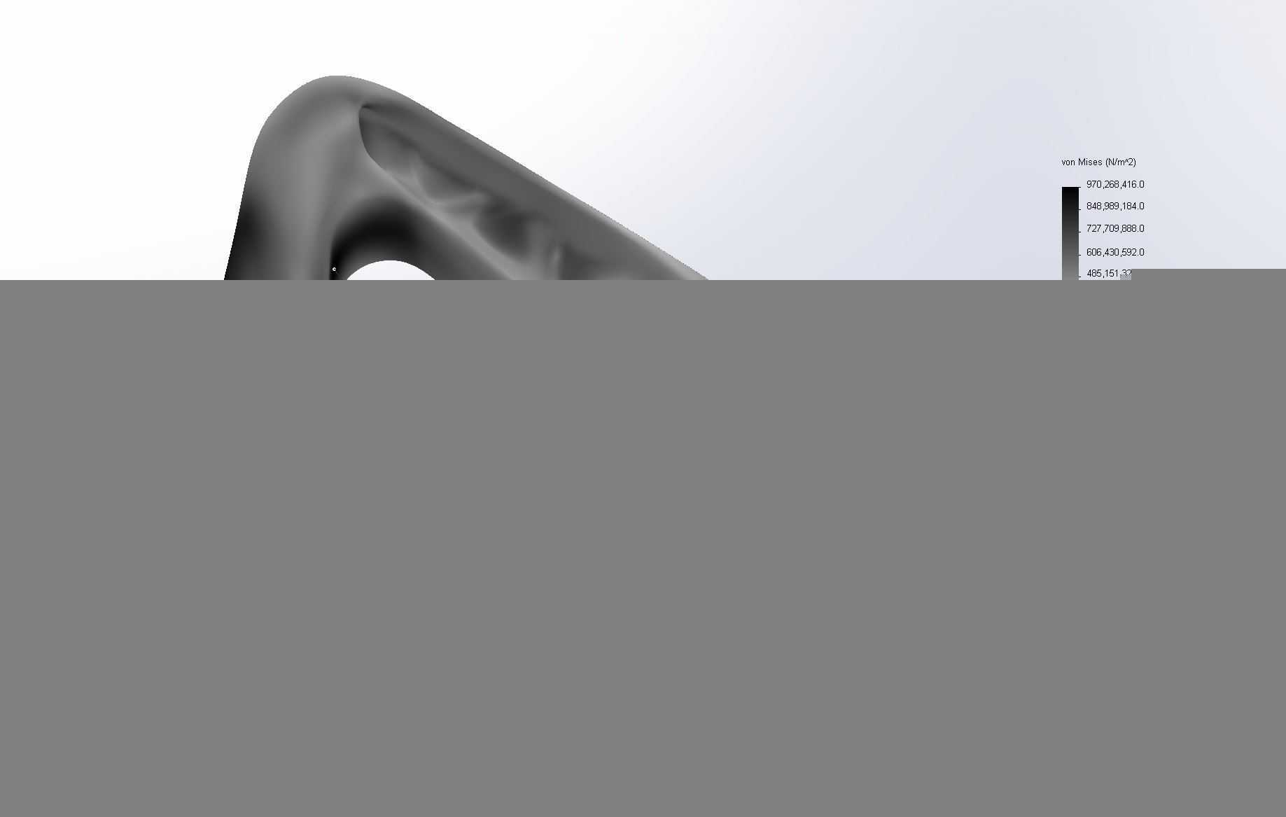 小苞片龙