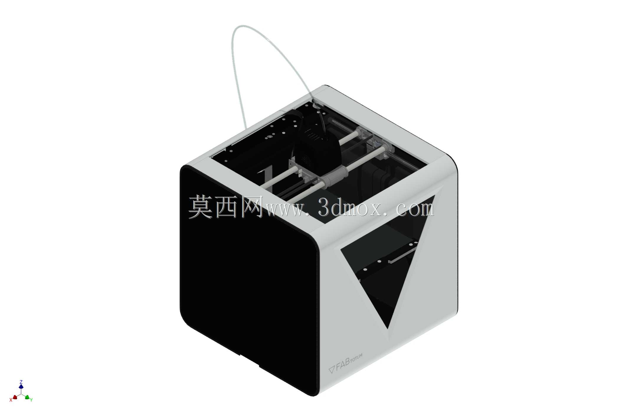 蚕豆
