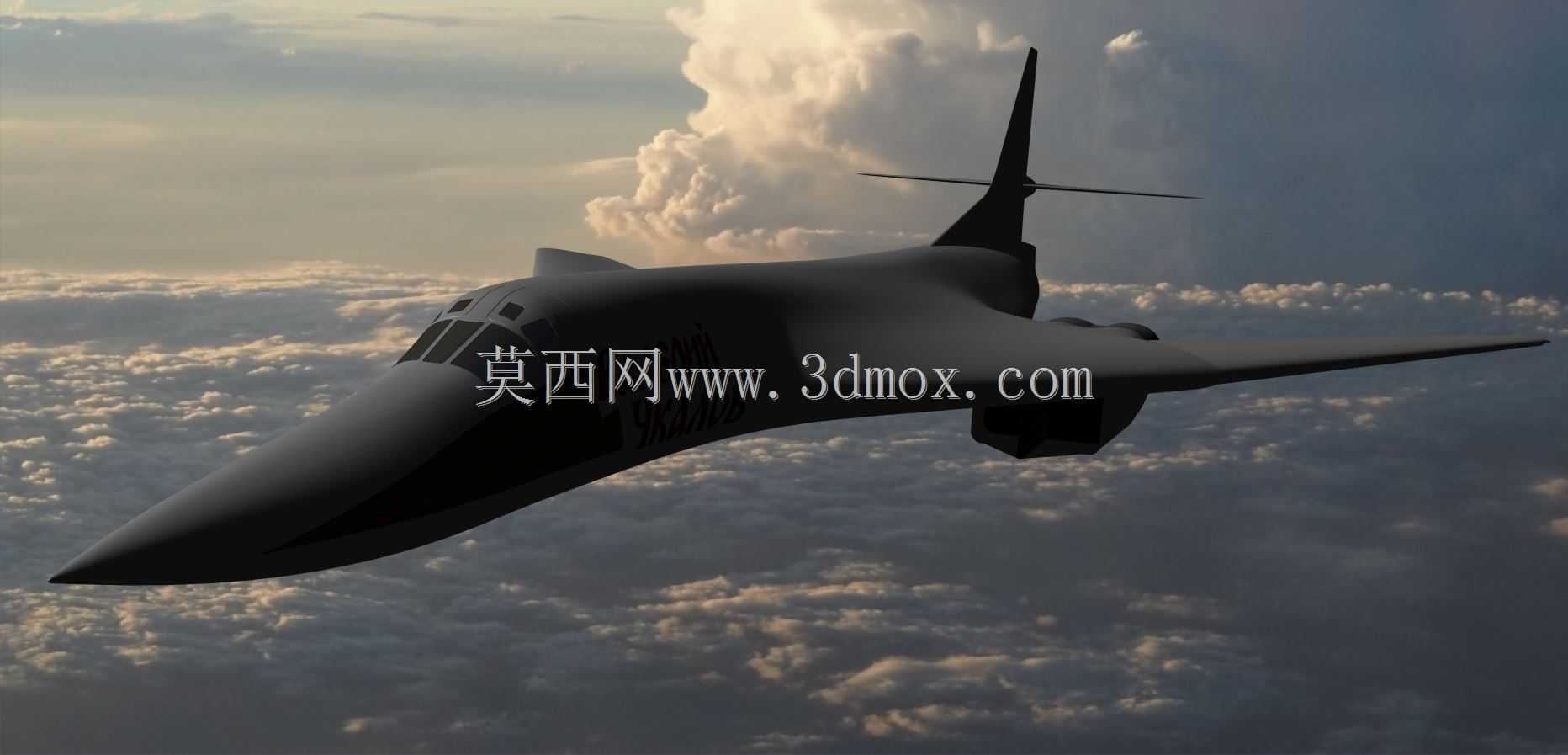 图波列夫Tu-160白天鹅