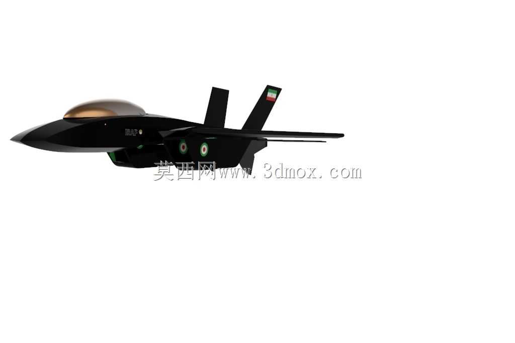���ʿվ�F-14 Tomcat 4++