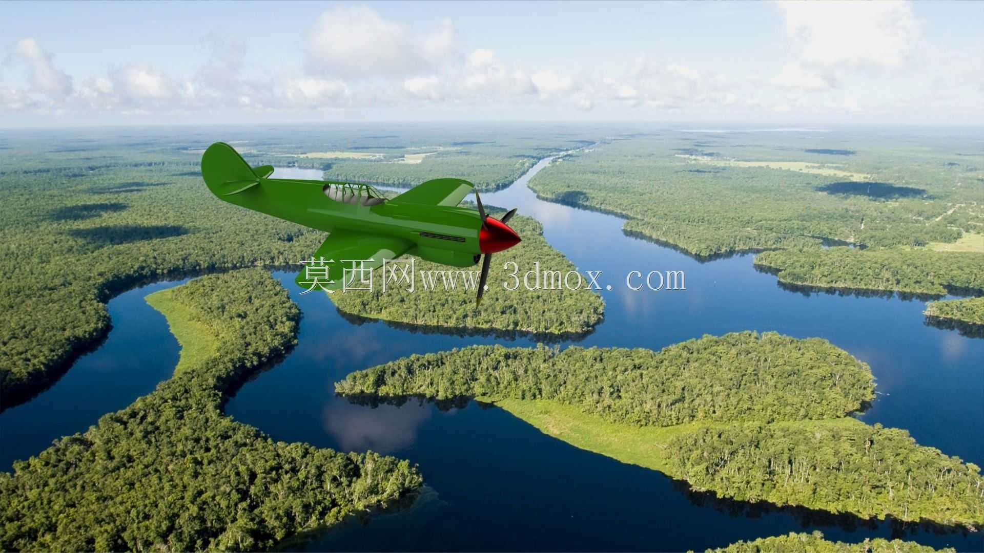 WW2 P-40սӥս����