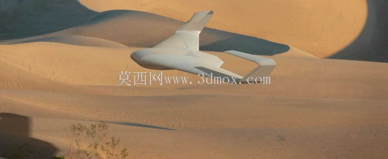 真正的飞翼