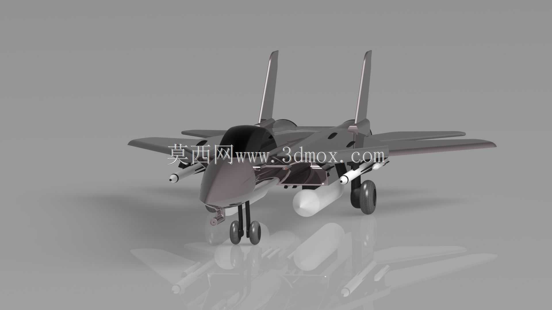 ����ʽ�ɻ�F14 Tomcat
