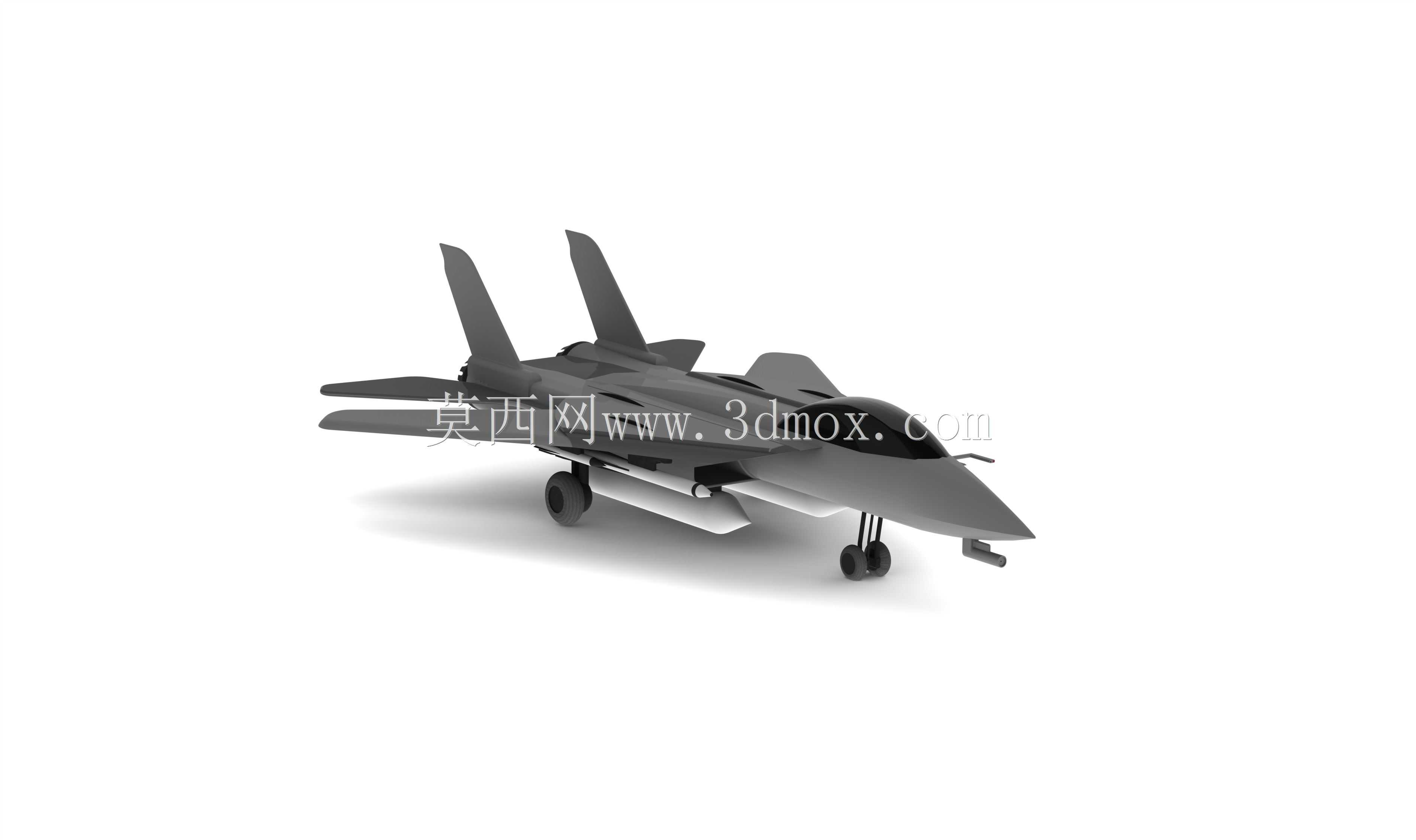 ����ʽ�ɻ�F14 Tomcat