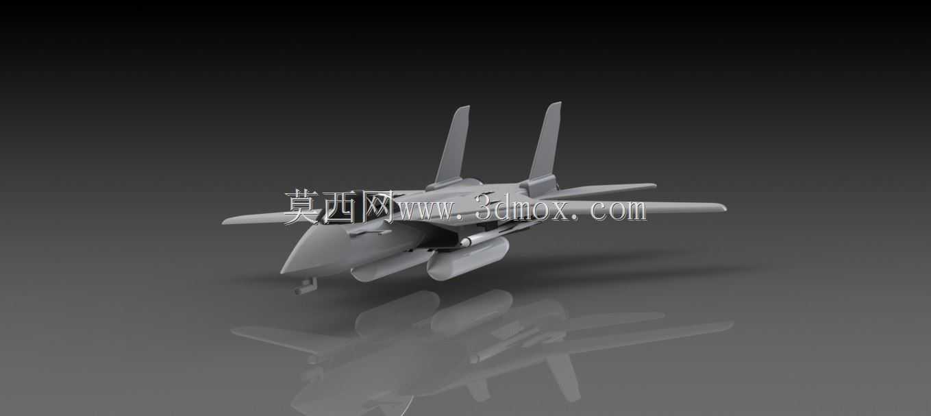 ����ʽ�ɻ�F14 Tomcat