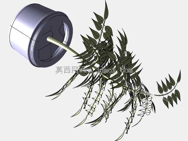 植物??