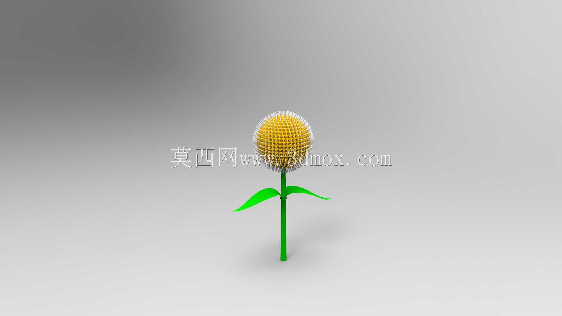 科多姆花