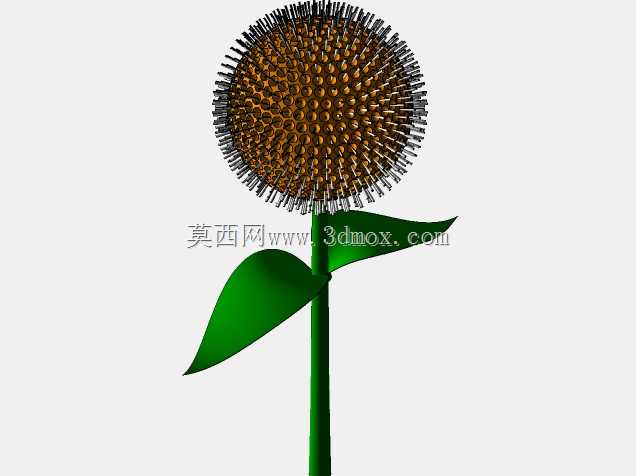 科多姆花