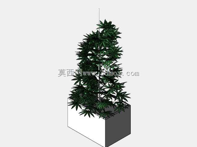 咖啡实验室