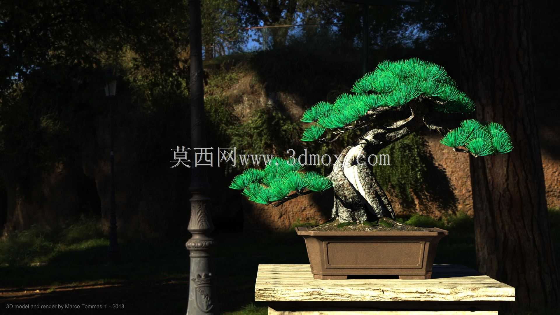 �辰1