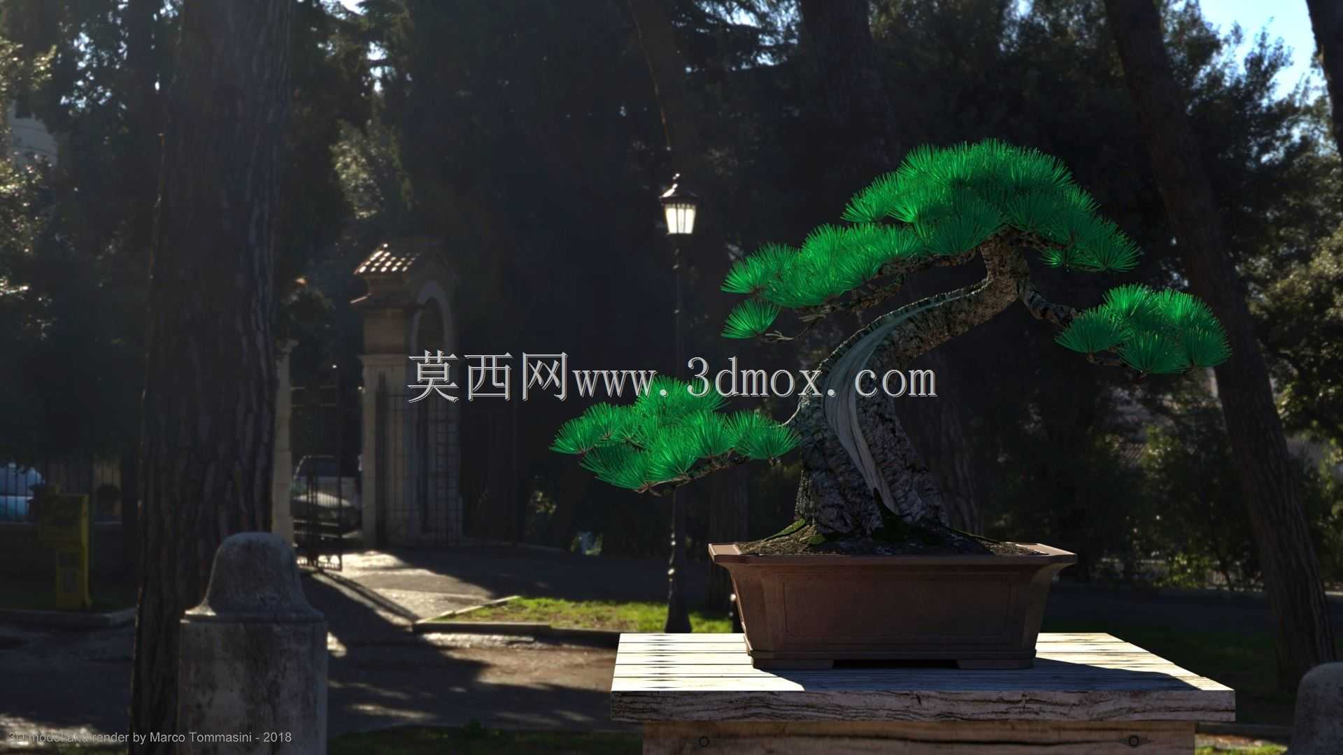 �辰1