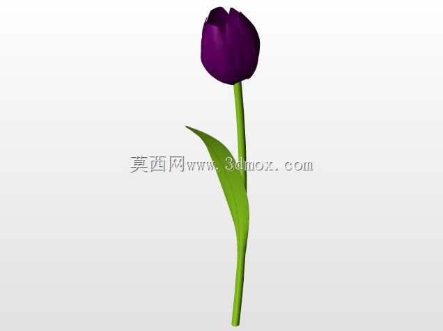 房子2