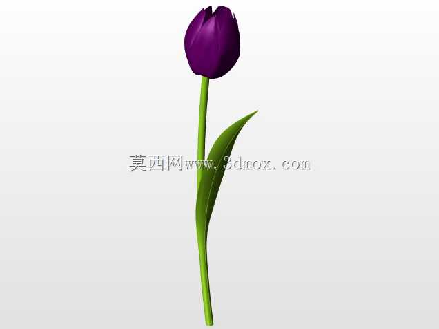 房子2