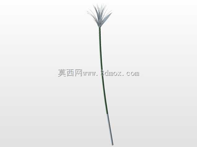 房子2