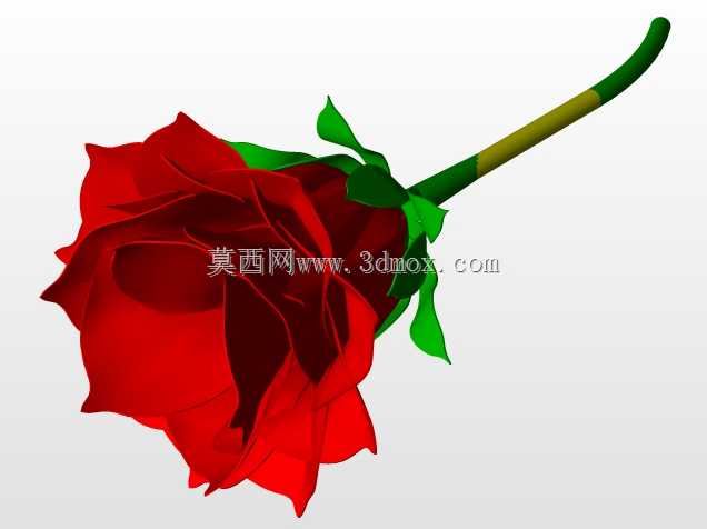 波斯艺术花盒