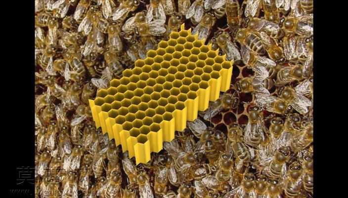 Honeycomb2024

