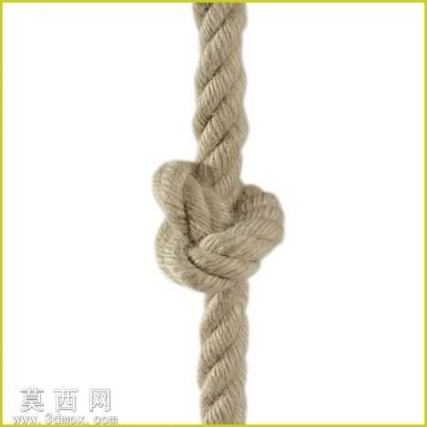 �ڵ�
