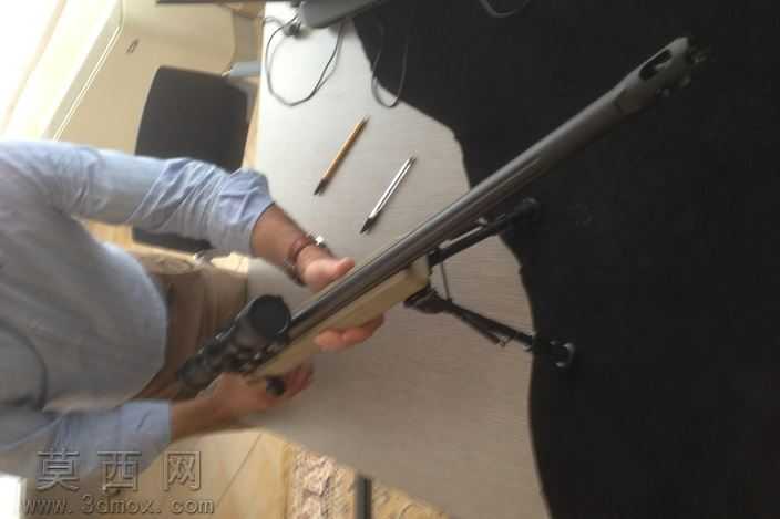 5.56/.223闪存树形