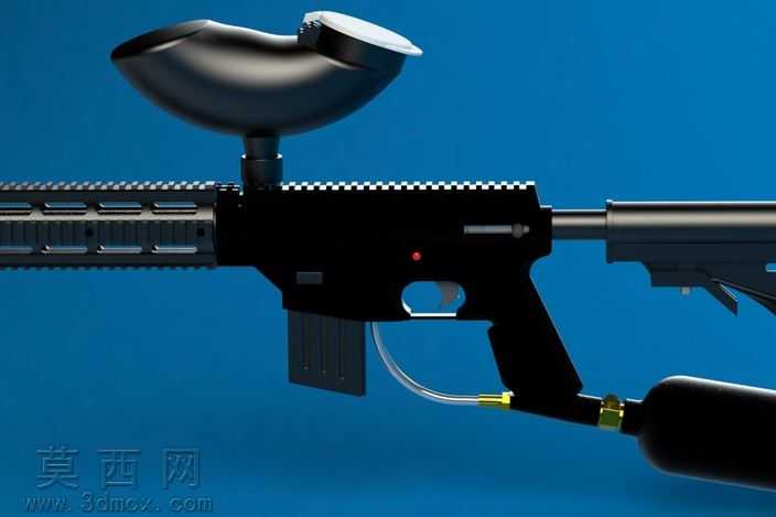 Tippmann��Ŀ����ʵ�����
